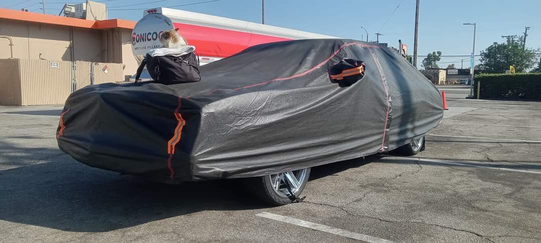 1979 Chevrolet Monte Carlo