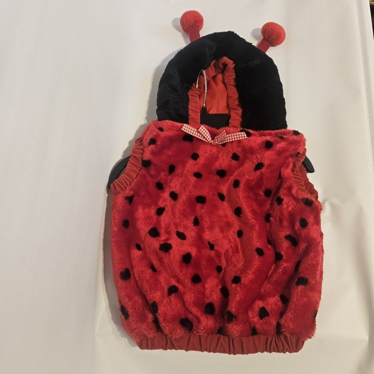 Lady Bug Costume For Size 12-24 Months
