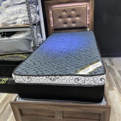 FREE DELIVER SAME DAY 