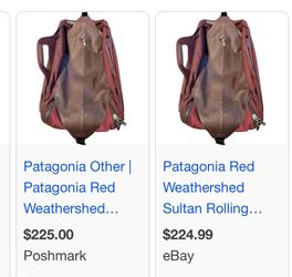 Patagonia Dry Travel Bag With Wheels