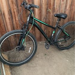 Schwinn Black And Green Bike