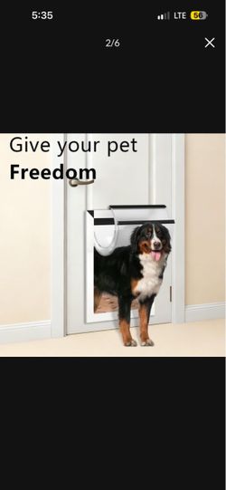 Xl dog door