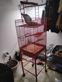 Bird cage
