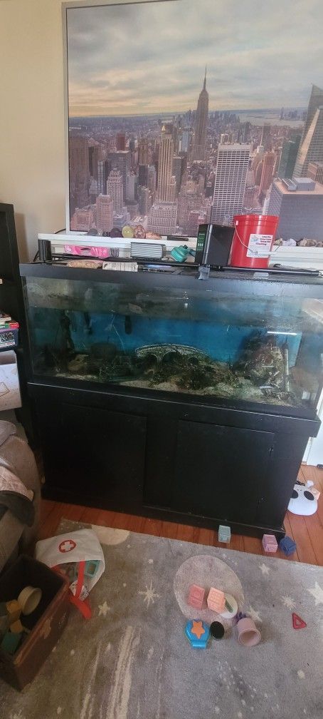 75 Gallon Fish Tank & Stand