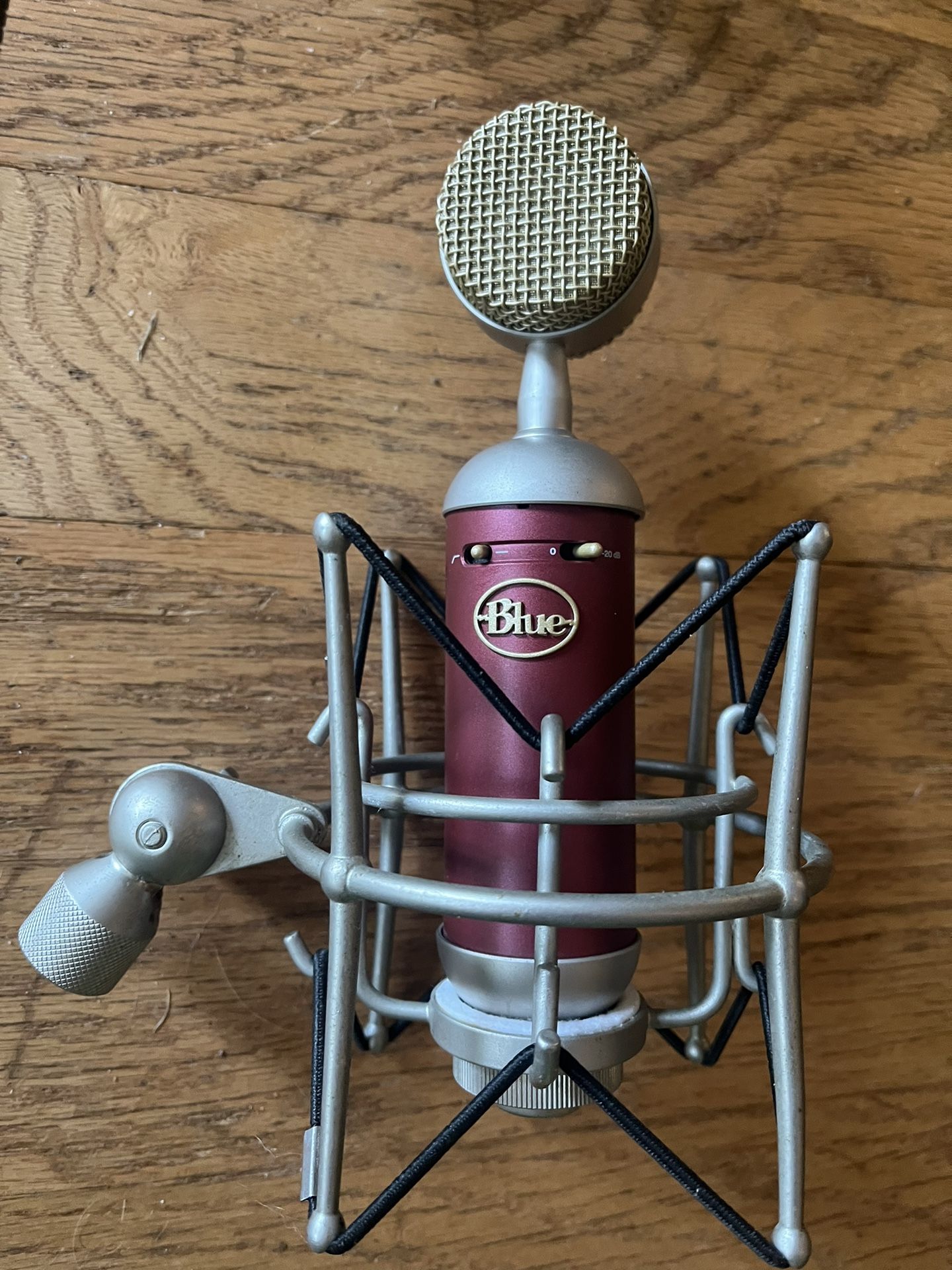 Blue Microphones Spark SL Large Studio Condenser Microphone Plus Extras