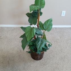 GORGEOUS Faux Alocacia Large Foliage 33" Tall Plant in Wicker Basket