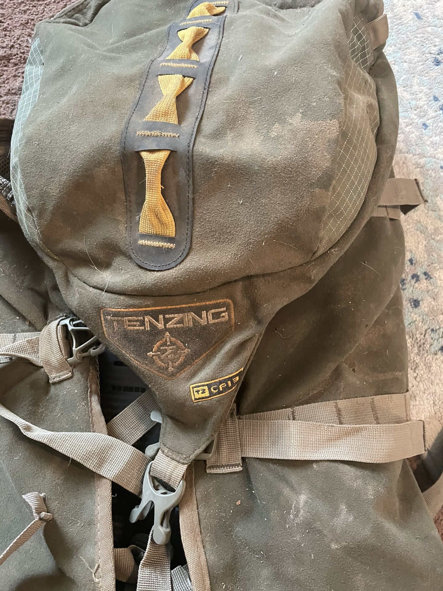 Tensing CF13