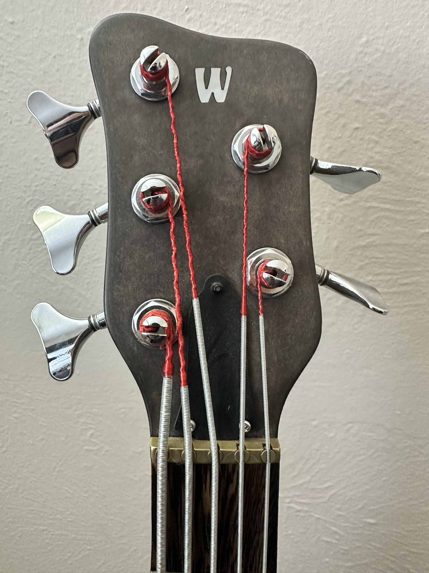 Corvette ProLine Standard, Ash 5 string
