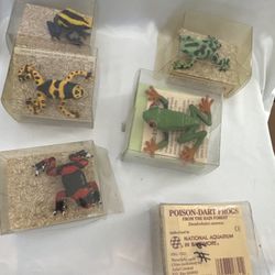 Vintage Safari Ltd Poison Dart Frog Figures – National Aquarium – Boxed