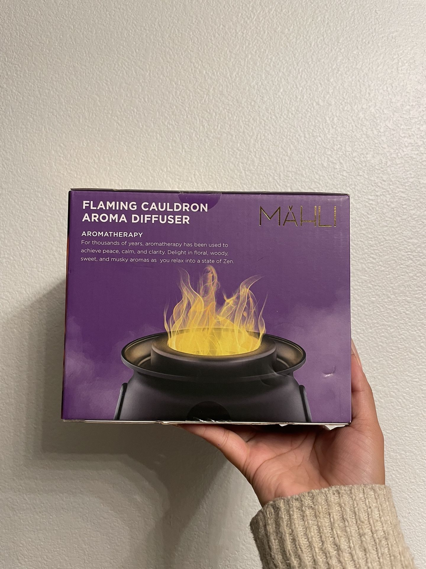 Witches cauldron diffuser