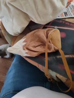 Pokemon Evee Costume 