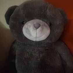 Teddy Bear 5 Feet Tall $15