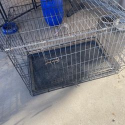 Dog Kennel 