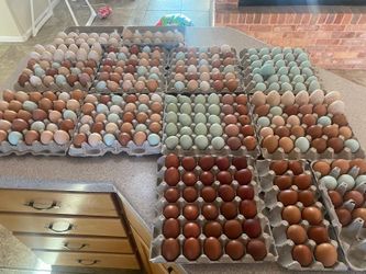 Eggs