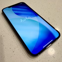 Unlocked - Apple iPhone 12 Pro Max - 256GB