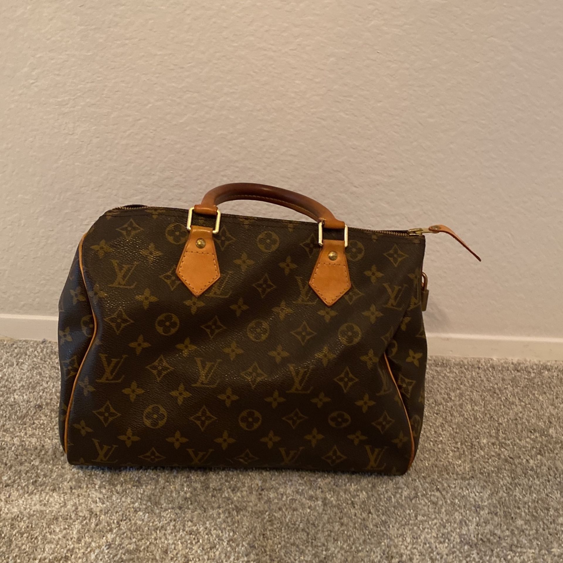 louis vuitton speedy bag 