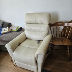 Power Lift Recliner