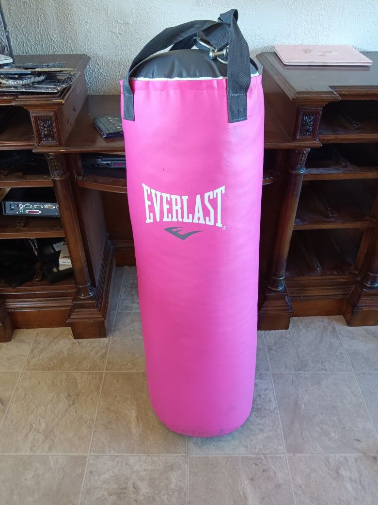 Everlast Punching Bag