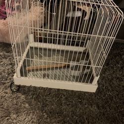 Nice Sturdy  And Clean  Bird Cage  Beautiful White 