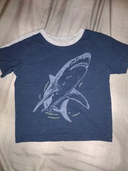 Toddler Shirt 