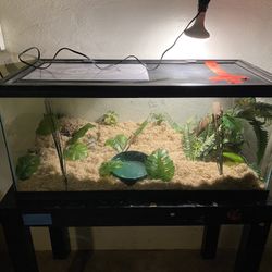 reptile Tank 