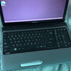 Toshiba Laptop 