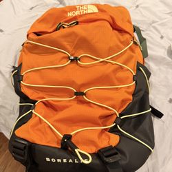 The North face Borealis Backpack 