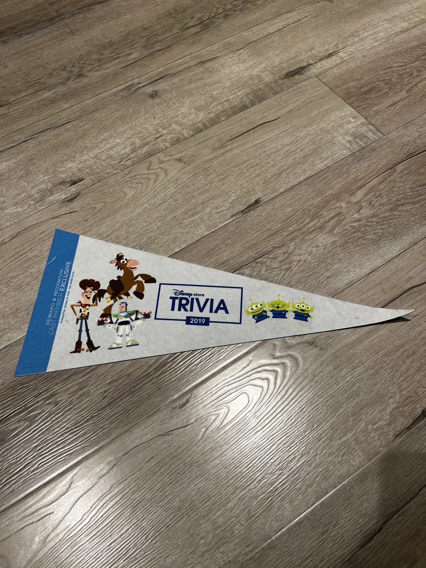 Toy Story Flag