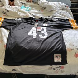 Steeler Jersey 