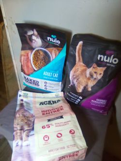 Cat Food