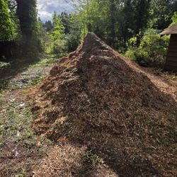 Free Wood Chips