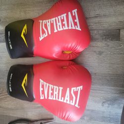 EverlastElite Boxing Gloves