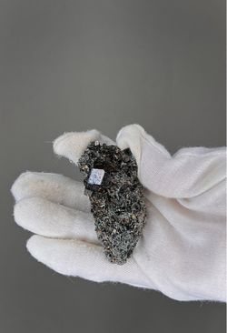 mal#132 Garnet var. Melanite on Actinolite 56g