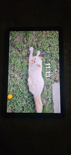 Samsung Galaxy S7 Tab