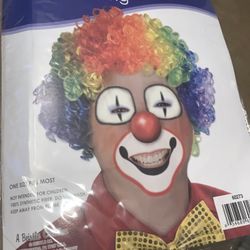 Clown Wig 