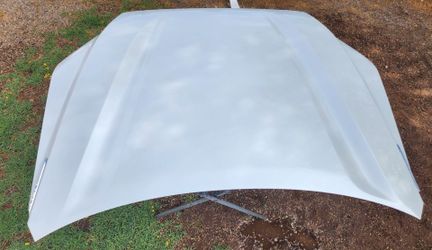 Sequoia Tundra Hood