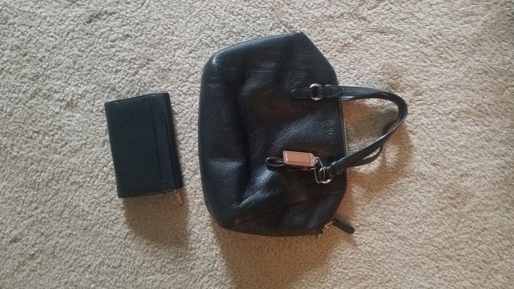 Coach purse with nine west wallet