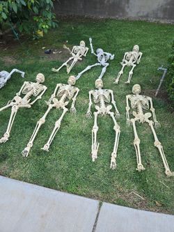 Halloween  skeletons