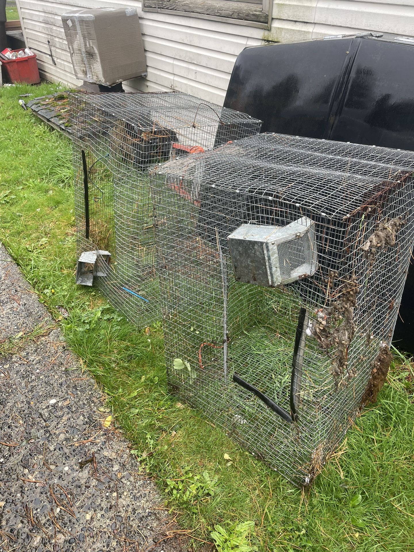 Rabbit Cage* Pending 