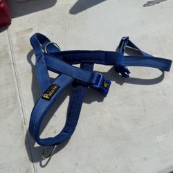Dog Harness 