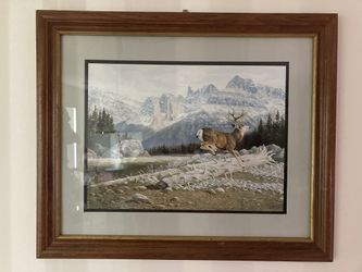 Framed Print