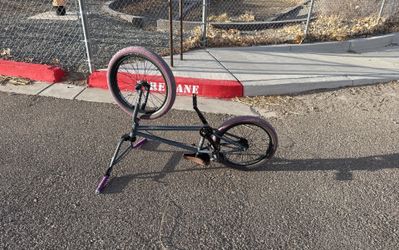 Purple “stolen” Brand BMX