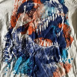 Boys T-Rex Dinosaur long sleeve shirt (small)