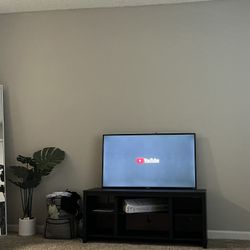 43 inch smart tv roku with remote & gove lights