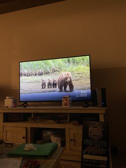 Vizio 55-Inch Smart TV — Great Picture