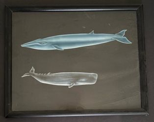 Framed whale art