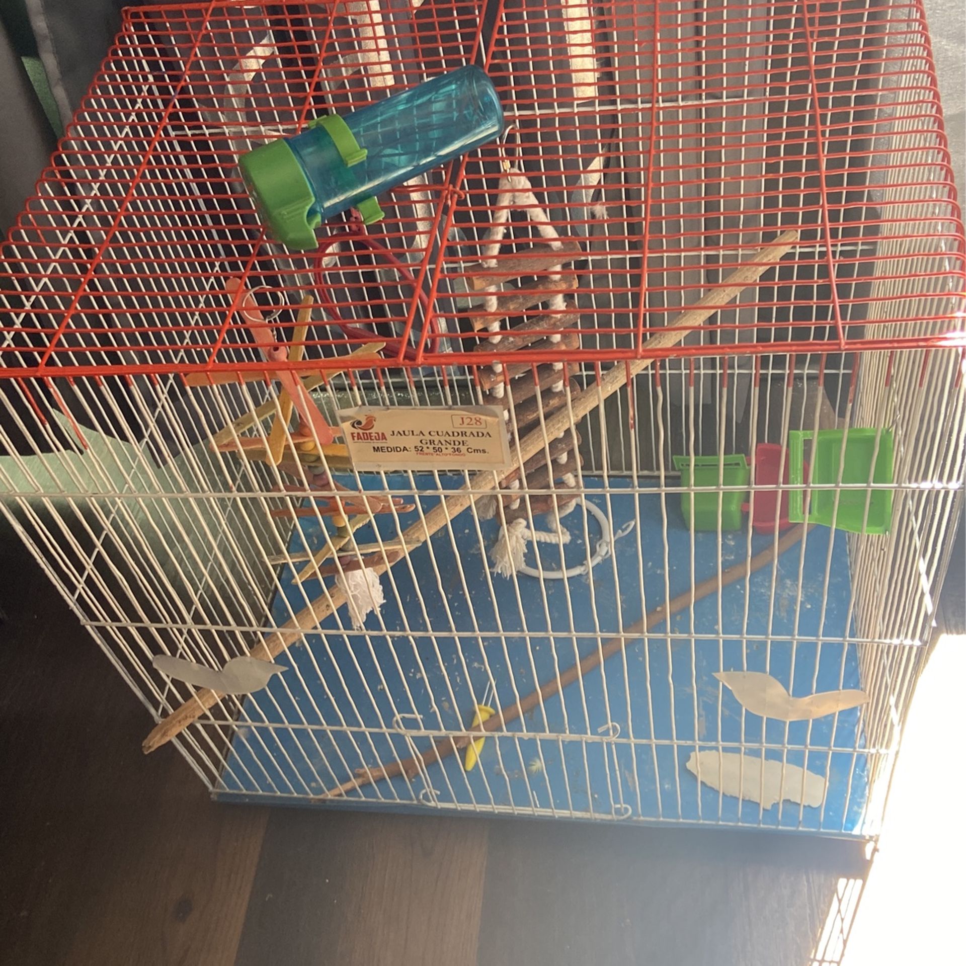 birds cage