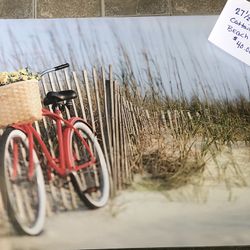 Beach Cattails , Bicycle Canvas