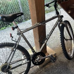 Bianchi Bike 
