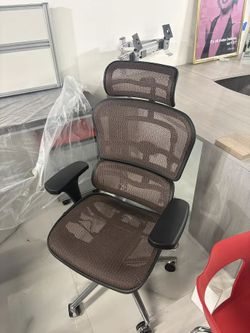 Ergohuman High-Back Ergonomic Mesh Office Chair with Headrest – $500 📦 Florida